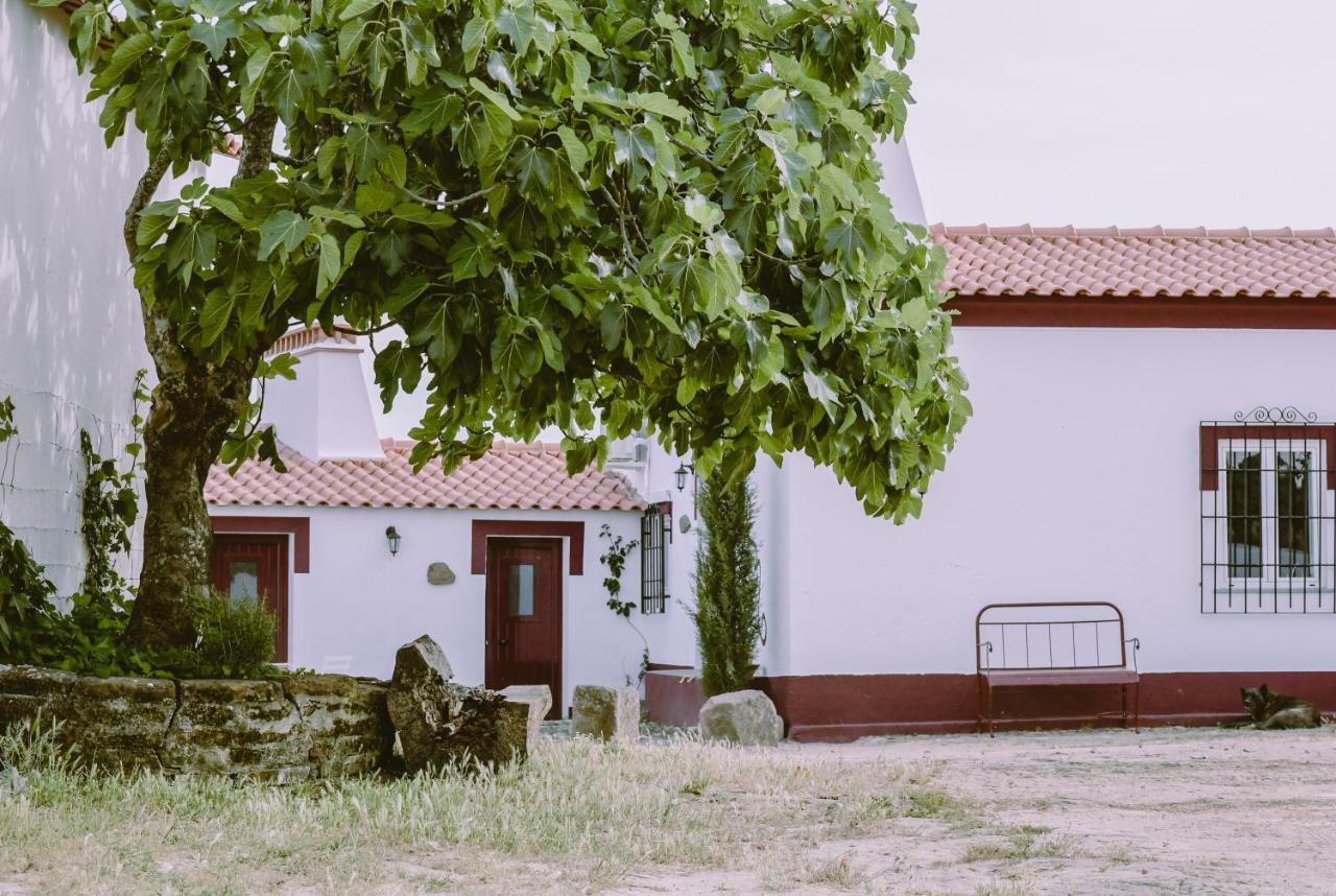 Casas Da Faia - Nature Guest House อาร์รอนเชส ภายนอก รูปภาพ